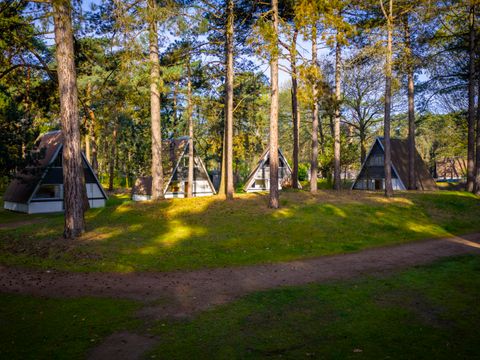 Landal Bospark 't Wolfsven - Geldrop Mierlo - Image N°3