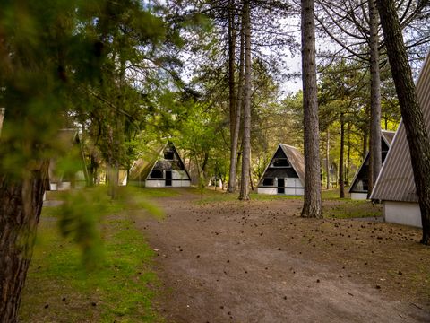 Landal Bospark 't Wolfsven - Geldrop Mierlo - Image N°4
