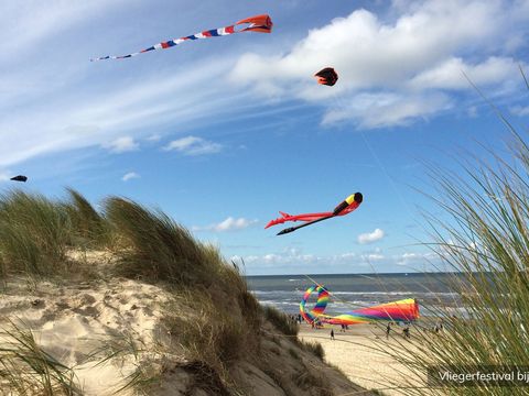 Residentie Californië - Texel - Image N°9
