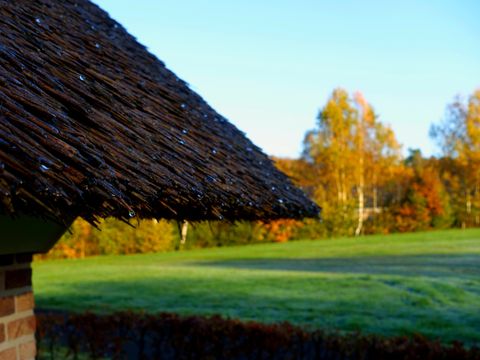 Vakantiepark De Lourenshoeve - Twenterand - Image N°16