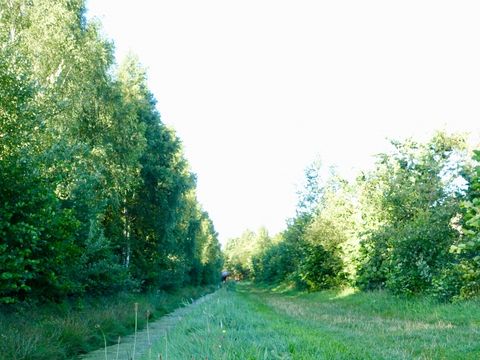 Vakantiepark De Lourenshoeve - Twenterand - Image N°22