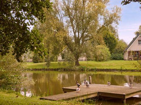 Center Parcs Parc Sandur - Emmen - Image N°62
