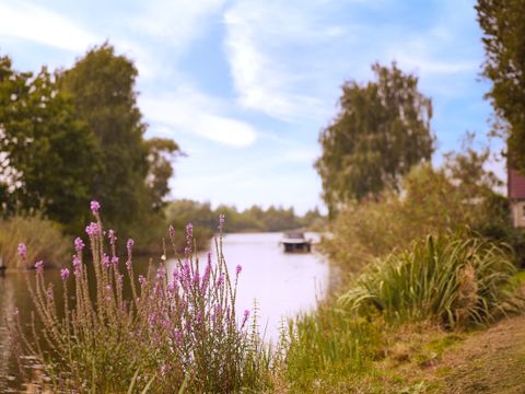 Center Parcs Parc Sandur - Emmen - Image N°57