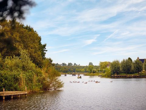 Center Parcs Parc Sandur - Emmen - Image N°33