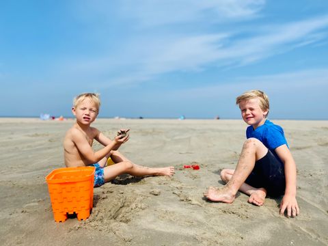 Strandpark Vlugtenburg aan Zee - Camping Westland - Image N°2