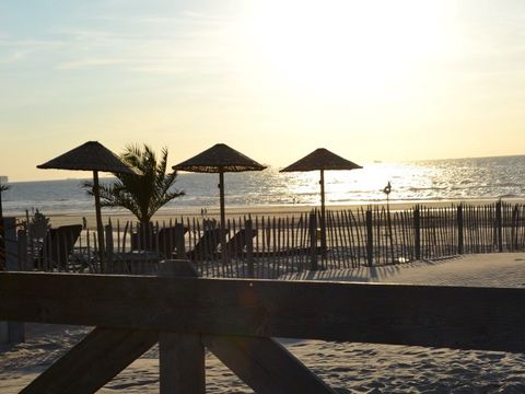 Strandpark Vlugtenburg aan Zee - Westland - Image N°41