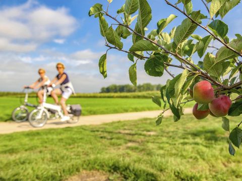 Holiday Suites Limburg - Belgisches Limburg