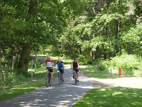 Holiday Suites Limburg - Belgisches Limburg