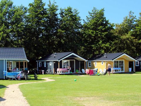 Molecaten Park Waterbos - Westvoorne - Image N°7