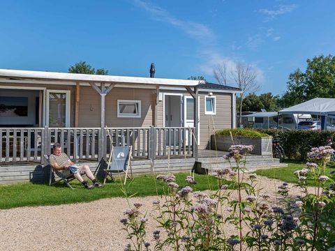 Molecaten Park Rondeweibos - Westvoorne - Image N°0
