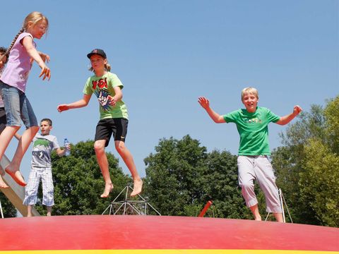 Molecaten Park Rondeweibos - Westvoorne - Image N°7