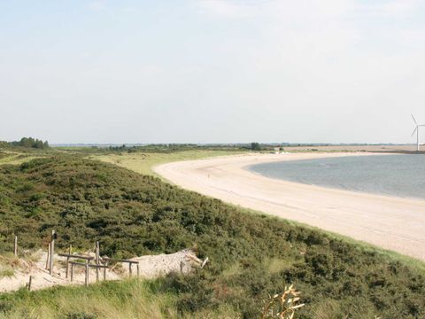 Molecaten Park Rondeweibos - Westvoorne - Image N°14