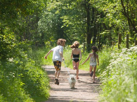 Molecaten Park Rondeweibos - Westvoorne - Image N°12