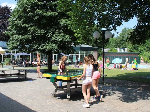 Molecaten Park Landgoed Ginkelduin - Utrechtse Heuvelrug - Image N°21