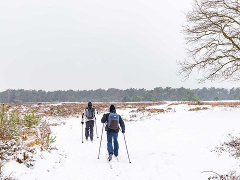 Molecaten Park Landgoed Ginkelduin - Utrechtse Heuvelrug - Image N°33