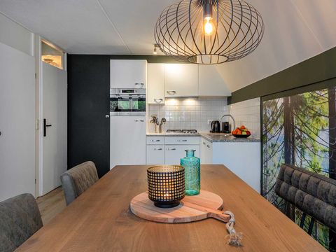 Molecaten Park Landgoed Ginkelduin - Camping Utrechtse Heuvelrug - Image N°4