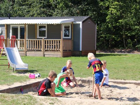 Molecaten Park Bosbad Hoeven - Halderberge - Image N°16