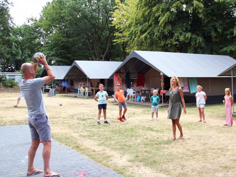 Molecaten Park Bosbad Hoeven - Halderberge - Image N°18