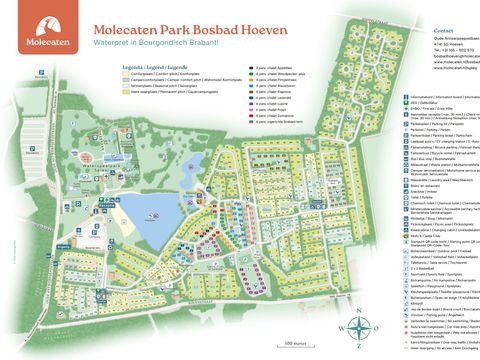 Molecaten Park Bosbad Hoeven - Halderberge - Image N°21