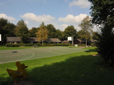 La Boverie - Camping Belgisches Luxemburg - Image N°2
