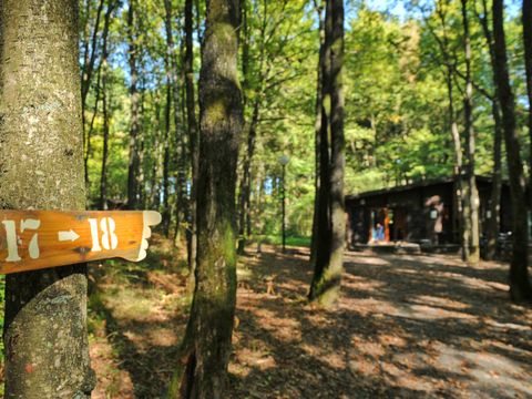 Village de Vacances d Oignies - Hennegau - Image N°10