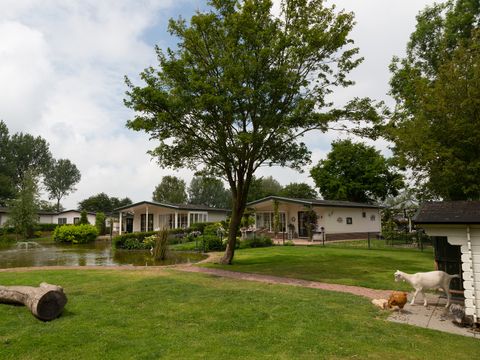 EuroParcs Molengroet - Langedijk - Image N°30