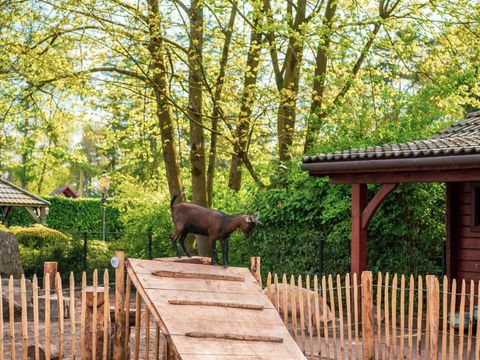 EuroParcs De Achterhoek - Lochem - Image N°27