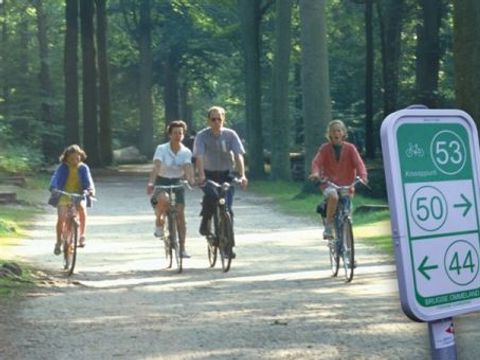 Recreatiepark Klein Strand - Westflandern - Image N°9