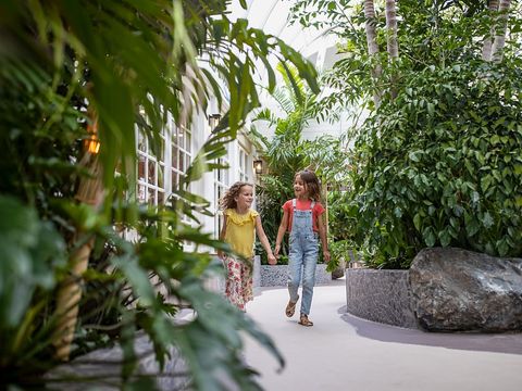 Center Parcs Park Zandvoort - Zandvoort - Image N°54
