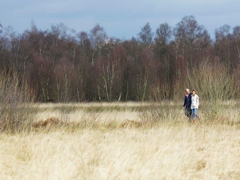 Center Parcs Limburgse Peel - Horst an der Maas - Image N°3