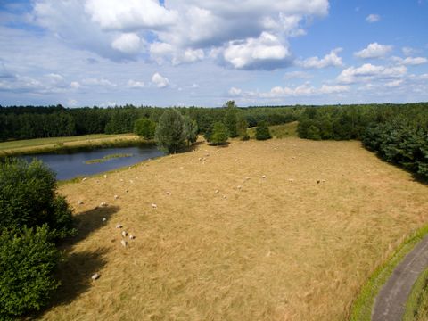 Center Parcs Limburgse Peel - Horst an der Maas - Image N°20