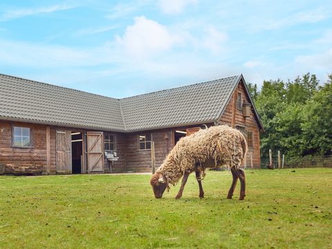 Center Parcs Limburgse Peel - Horst an der Maas - Image N°4