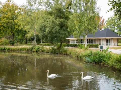 Center Parcs Limburgse Peel - Horst an der Maas - Image N°9