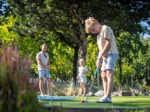 Landal Vakantiepark Hunzedal - Borger-Odoorn - Image N°3