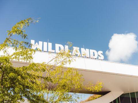 Landal Vakantiepark Hunzedal - Borger-Odoorn - Image N°4