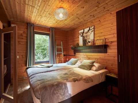 Vakantiepark Dierenbos - Meierijstad - Image N°3