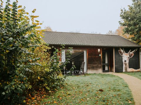 Vakantiepark Dierenbos - Meierijstad - Image N°0