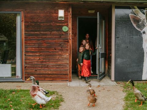 Vakantiepark Dierenbos - Meierijstad - Image N°0