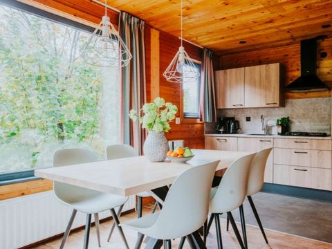 Vakantiepark Dierenbos - Meierijstad - Image N°4