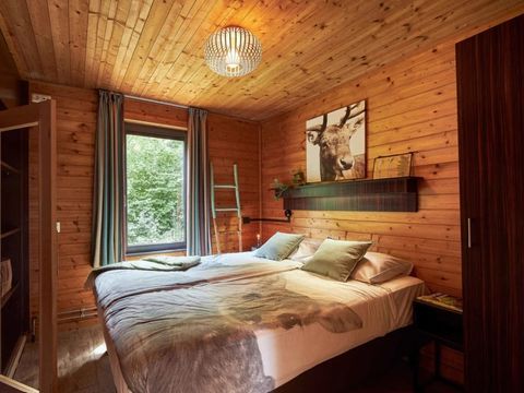 Vakantiepark Dierenbos - Meierijstad - Image N°5