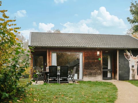 Vakantiepark Dierenbos - Meierijstad - Image N°0