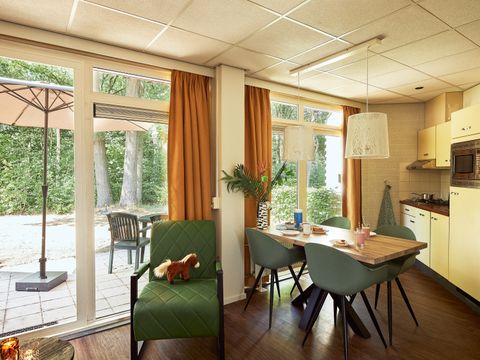 Vakantiepark Dierenbos - Camping Meierijstad - Image N°4