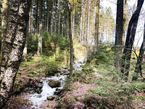 Camping Oos Heem - Lüttich - Image N°5