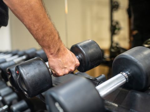 Landal Landgoed De Elsgraven - Wierden