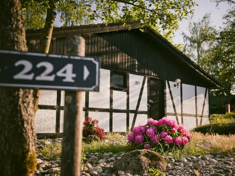 Sporthotel Grafenwald - Rheinland-Pfalz - Image N°12