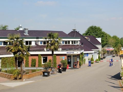 Vakantiepark De Oude Molen - Camping Berg en Dal - Image N°2