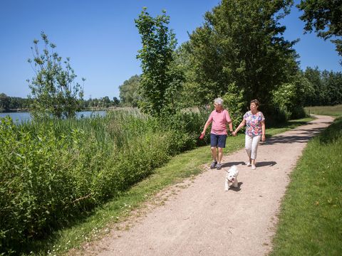 Vakantiepark Hof van Zeeland - Borsele - Image N°25