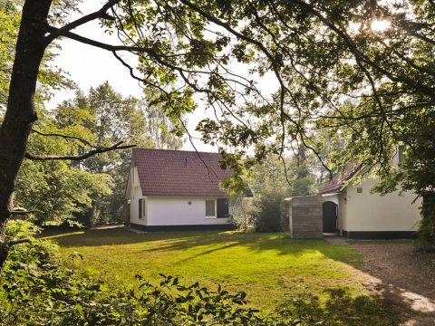 Summio Bungalowpark Het Drentse Wold - Camping Mitte-Drenthe - Image N°5