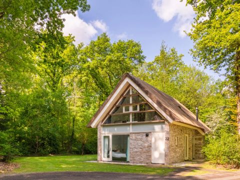 Summio Buitenplaats de Marke van Ruinen - Camping De Wolden - Image N°4