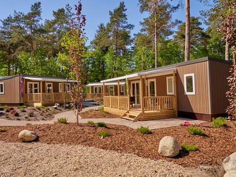 Vakantiepark Het Lierderholt - Apeldoorn - Image N°14